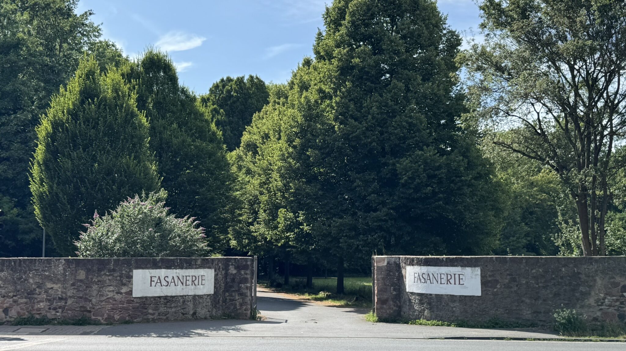 Einfahrt Fasanerie Groß-Gerau: links und rechts beginnt eine mannshohe Mauer aus alten Steinen mit jeweils der Aufschrift "Fasanerie". Dahinter sieht man viele alte, hohe Bäume, einen Weg und eine Wiese.